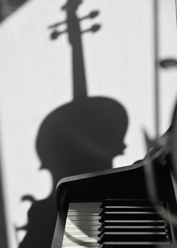 Music Shadows by Alleesha MacDonald